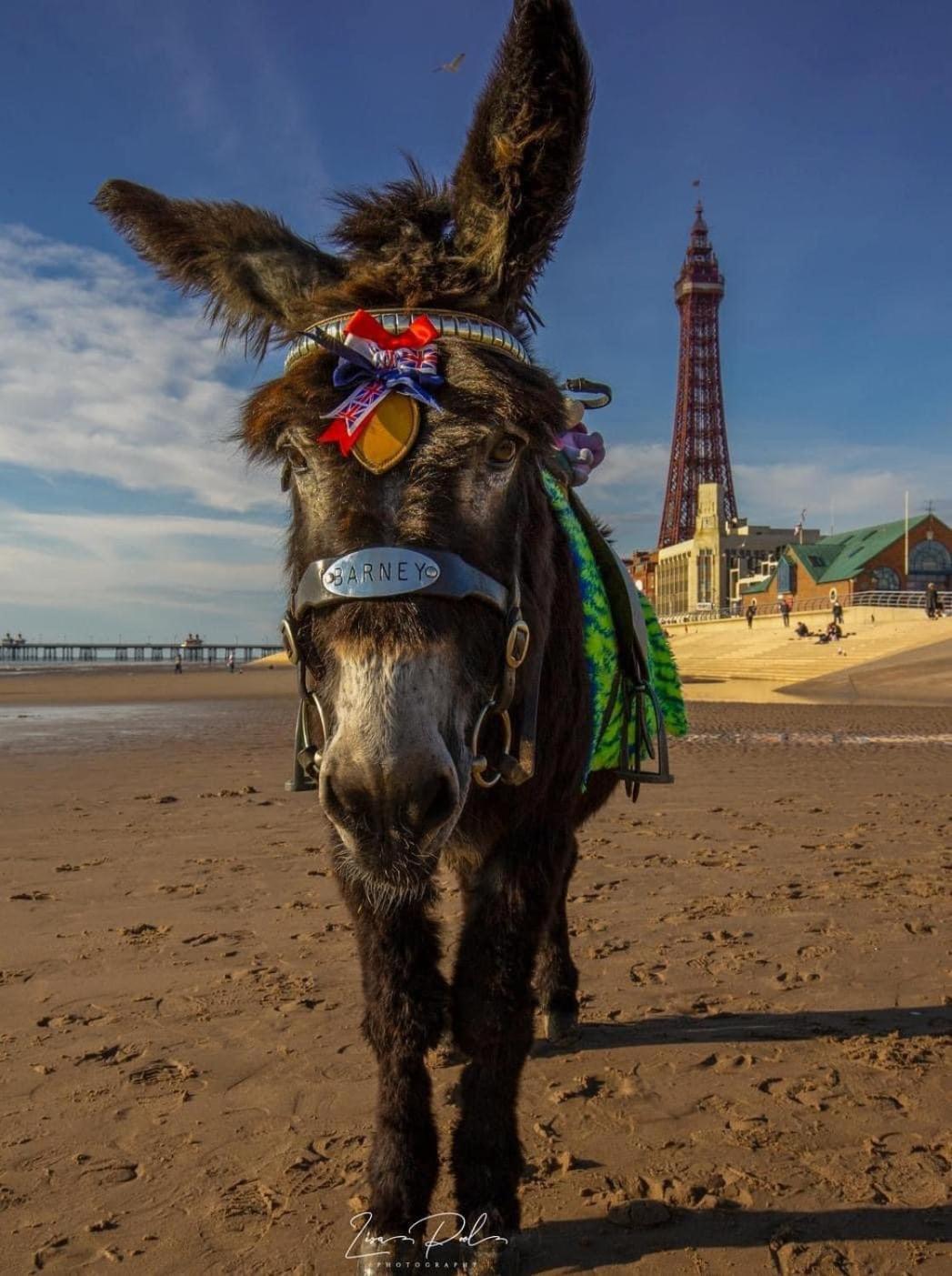 The Bailey Hotel Blackpool (Adults Only) المظهر الخارجي الصورة